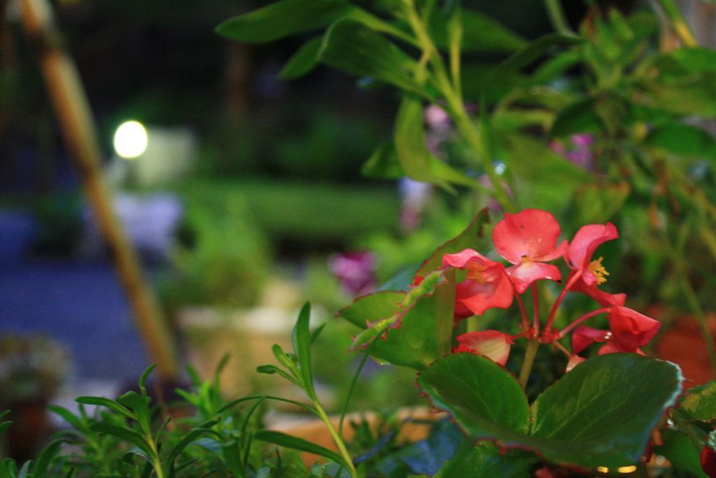 Yamadaya Ryokan Hitachiota Esterno foto