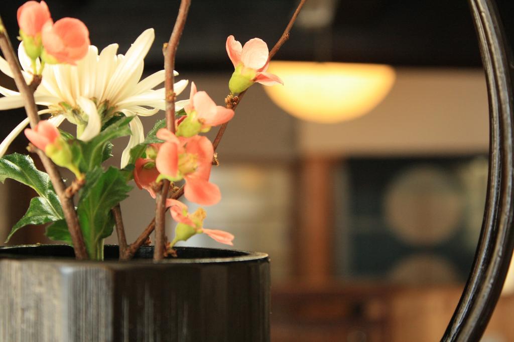 Yamadaya Ryokan Hitachiota Esterno foto